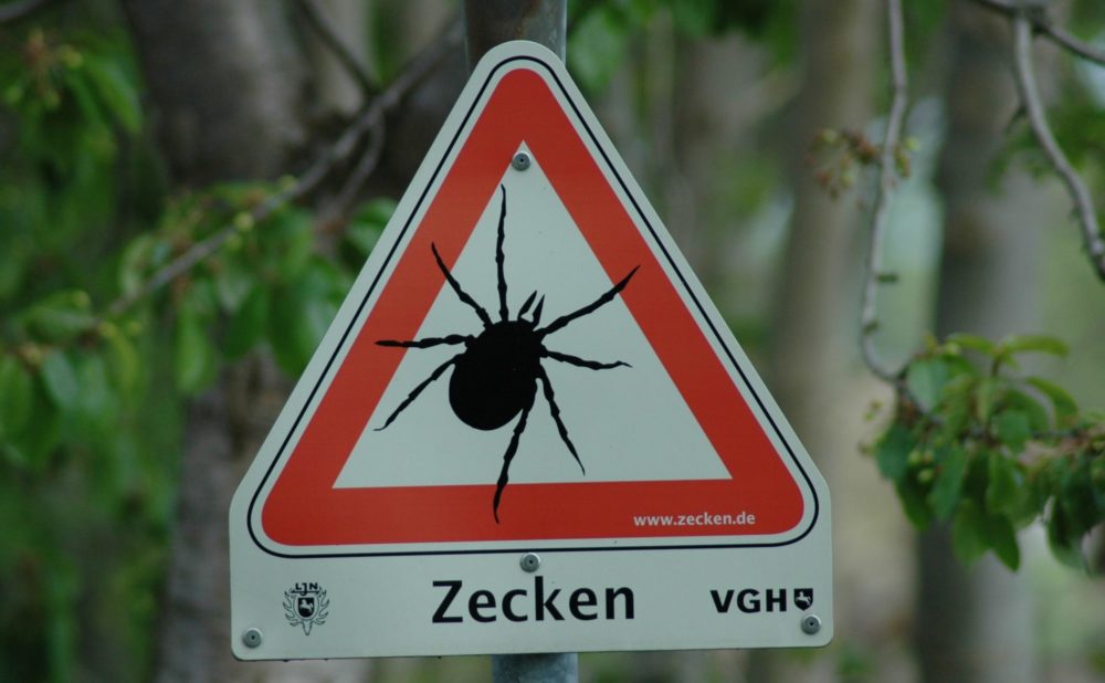 FSME und Borreliose – erkennen, behandeln, vorbeugen
