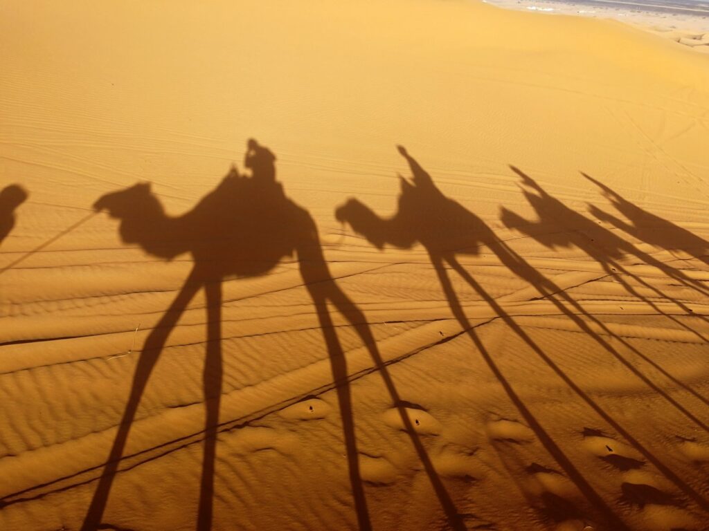 Sahara Luxury Camp & Camel Trek
