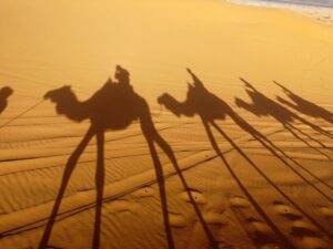Schatten einer Dromedar-Karawane, Sandwüste Erg Chebbi, Marokko