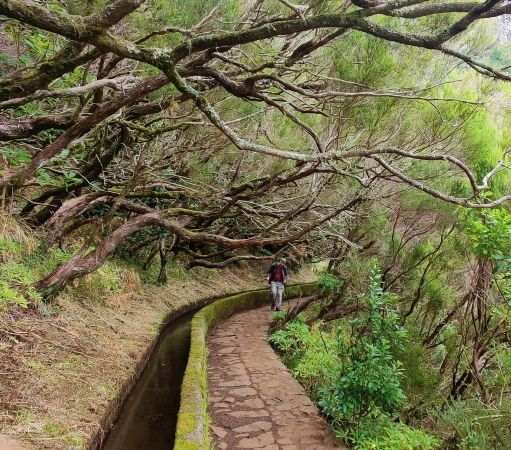 Levada 25 Fontes e Risco, Madeira