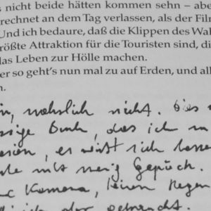 Handschriftliche Anmerkungen in einem Buch