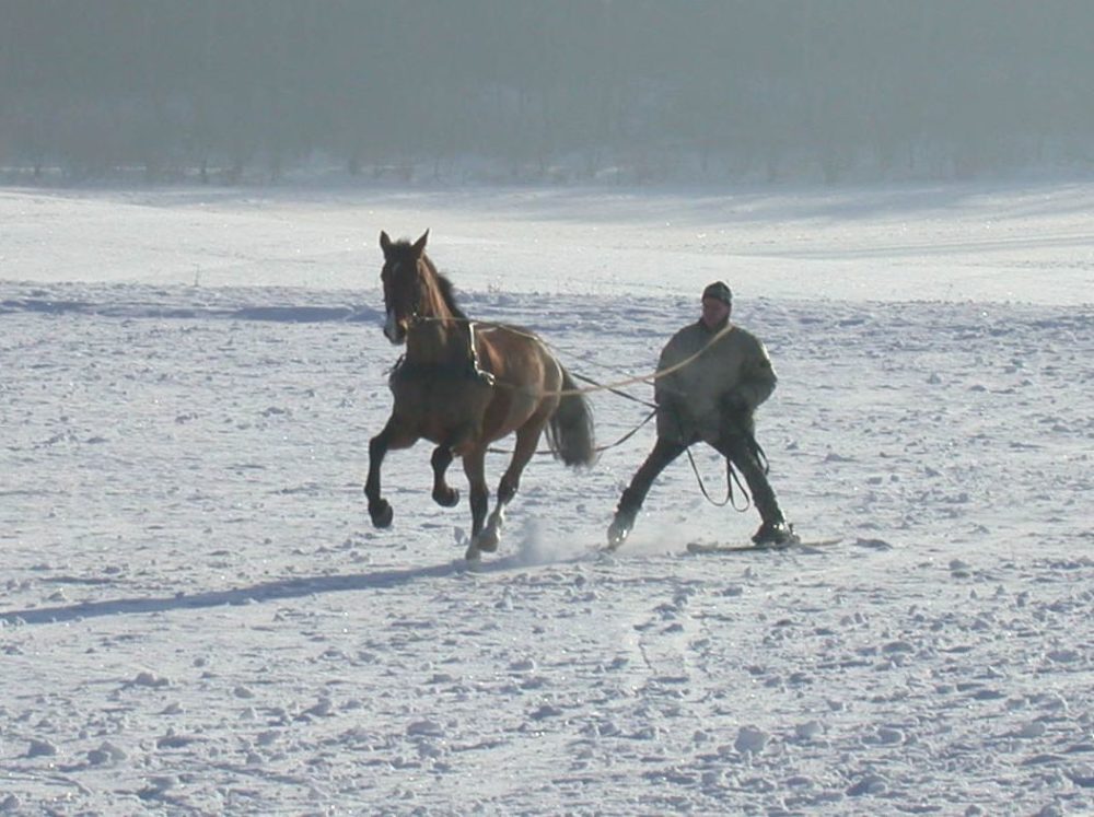 Skijöring ohne Reiter