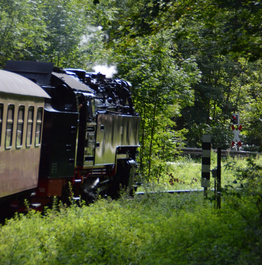 Dampflokomotive, Harz, Deutschland