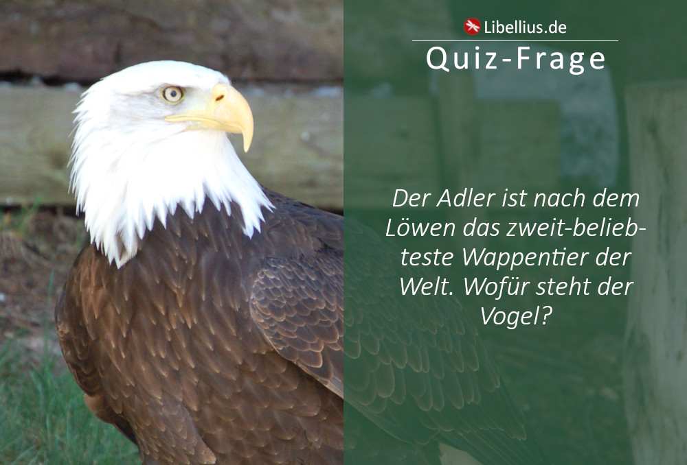 Der Adler ist das zweitbeliebteste Wappentier der Welt. Er steht für ...