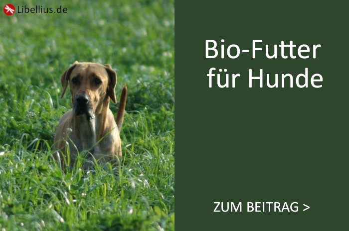 Werbung Bio-Futter für Hunde