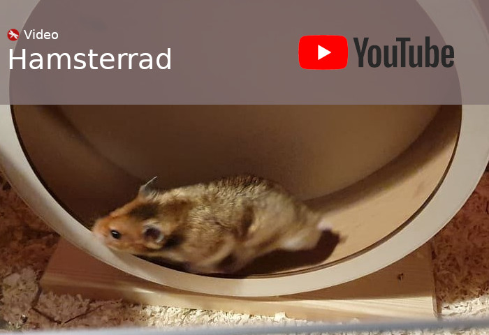 YouTube Video Hamsterrad