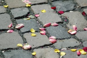 Rosenblätter auf Straßenpflaster