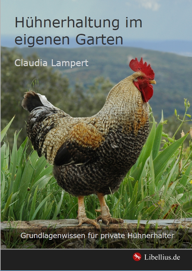 Hühnerhaltung im eigenen Garten