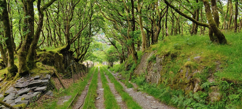 Dinorwig Slate Quarry