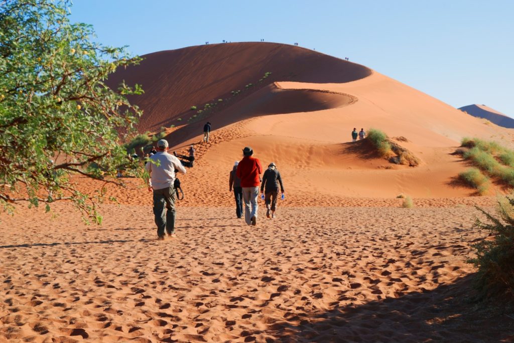 Düne 45, Sossusvlei, Namibia, Afrika