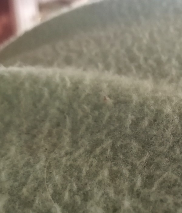 Abschwitzdeckem Fleece
