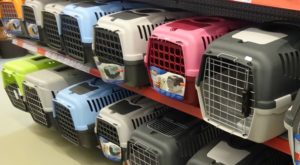 Hunde-Transportboxen