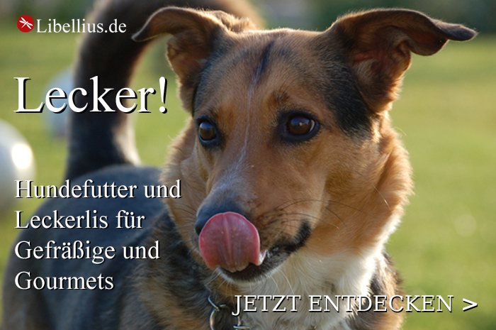 Hundefutter