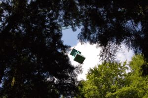 Krangondel im Baumlabor Kranzberger Forst, Deutschland