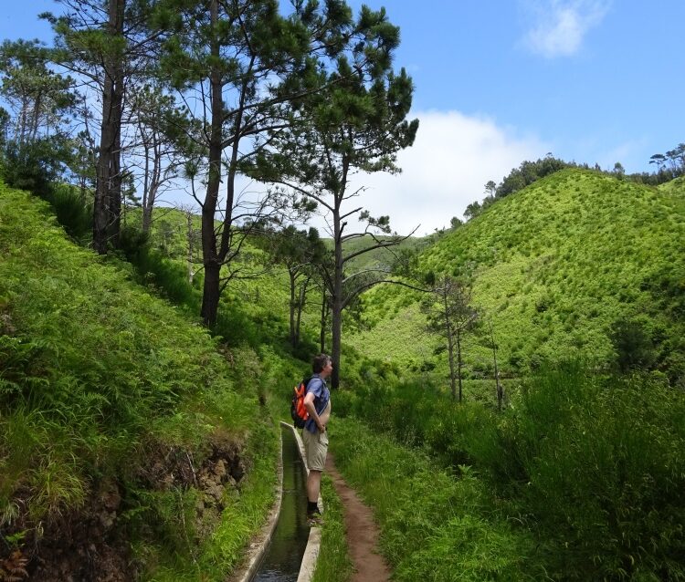 Levada Nova, Madeira, Portugal