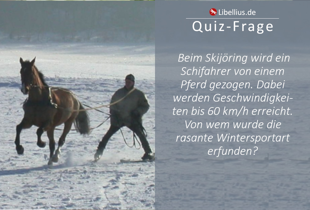 Beim Schijöring wird ein Schifahrer von einem Pferd gezogen. Dabei werden Spitzengeschwindigkeiten von knapp 60 km/h erreicht. Erfunden wurde die rasante Wintersportart ...