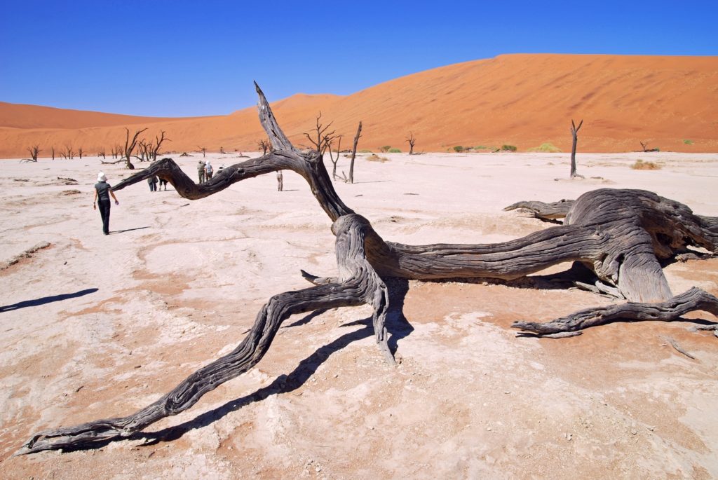 Sossusvlei, Namibia, Afrika