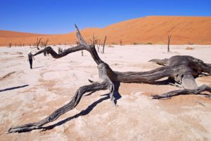 Sossusvlei, Namibia, Afrika