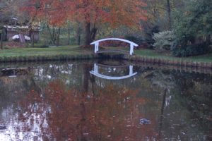 Teich mit Brücke