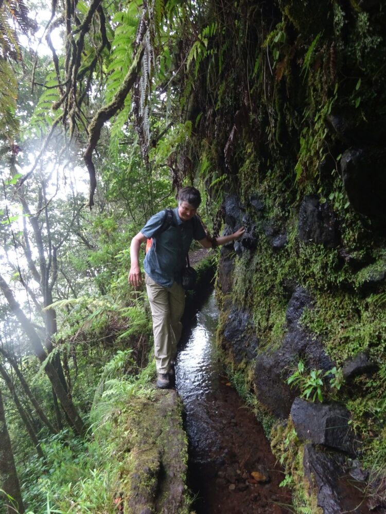 Wandern auf Madeira